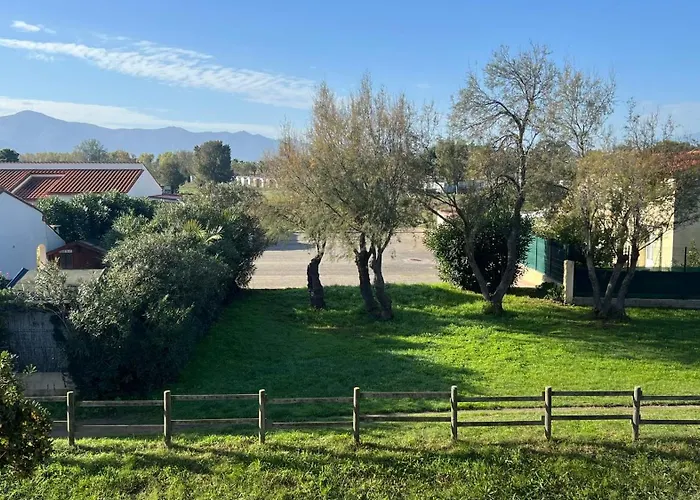 Jolie Petite Maison Plein Sud